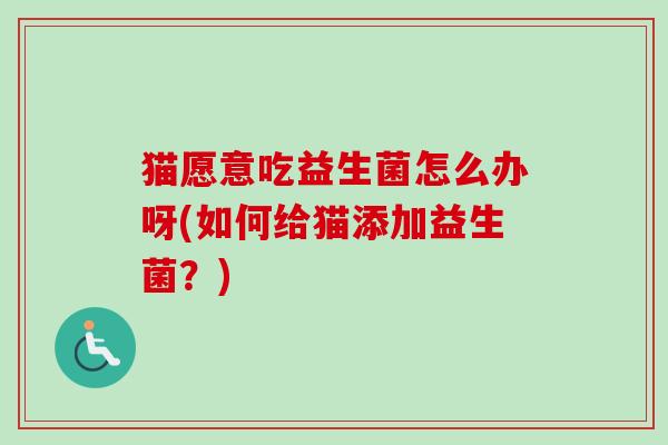 猫愿意吃益生菌怎么办呀(如何给猫添加益生菌？)