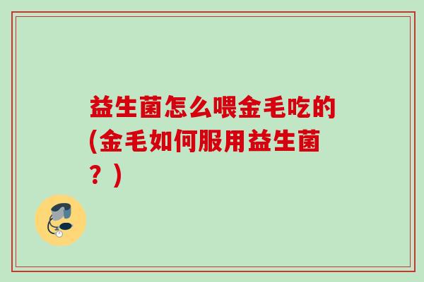 益生菌怎么喂金毛吃的(金毛如何服用益生菌？)