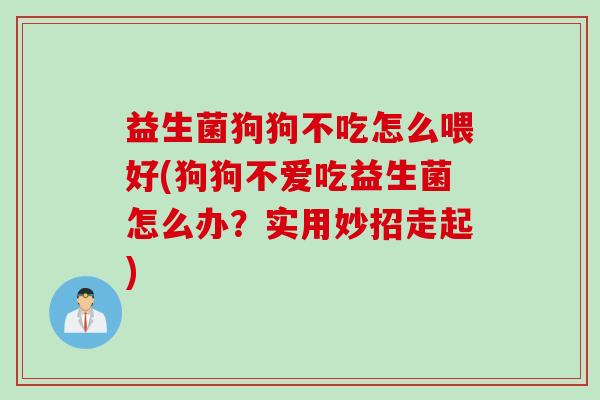 益生菌狗狗不吃怎么喂好(狗狗不爱吃益生菌怎么办?实用妙招走起) 益生菌狗狗不吃怎么喂好(狗狗不爱吃益生菌怎么办?实用妙招走起)