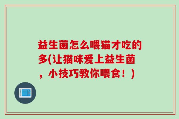 益生菌怎么喂猫才吃的多(让猫咪爱上益生菌，小技巧教你喂食！)
