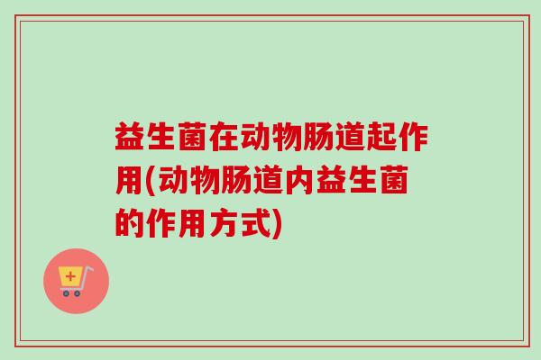 益生菌在动物肠道起作用(动物肠道内益生菌的作用方式)