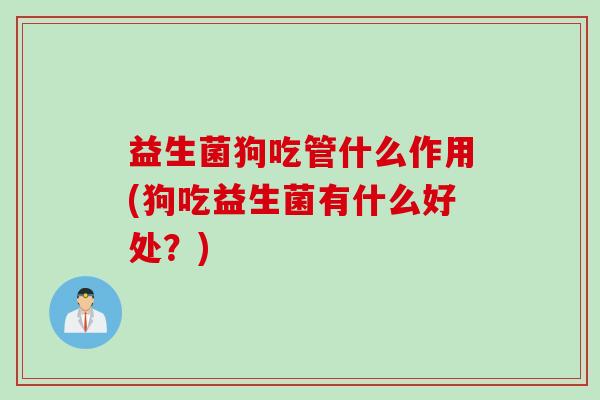 益生菌狗吃管什么作用(狗吃益生菌有什么好处？)