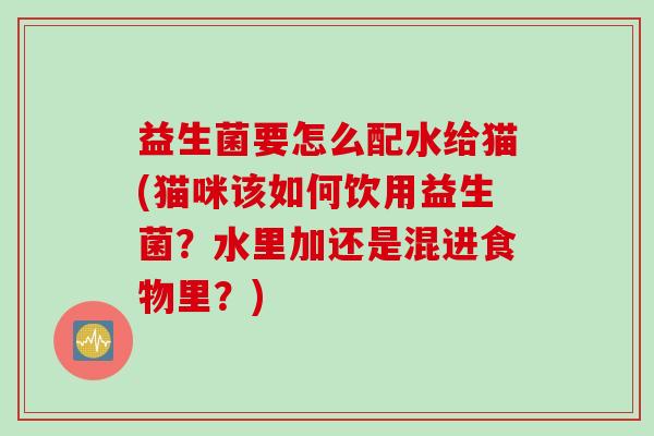 益生菌要怎么配水给猫(猫咪该如何饮用益生菌？水里加还是混进食物里？)