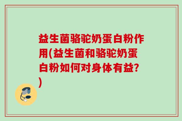 益生菌骆驼奶蛋白粉作用(益生菌和骆驼奶蛋白粉如何对身体有益？)