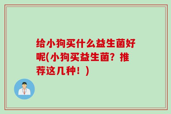 给小狗买什么益生菌好呢(小狗买益生菌？推荐这几种！)
