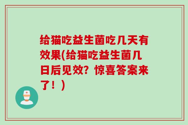 给猫吃益生菌吃几天有效果(给猫吃益生菌几日后见效?惊喜答案来了!) 给猫吃益生菌吃几天有效果(给猫吃益生菌几日后见效?惊喜答案来了!)