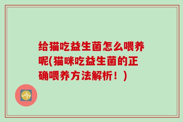 给猫吃益生菌怎么喂养呢(猫咪吃益生菌的正确喂养方法解析！)