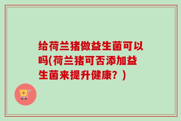 给荷兰猪做益生菌可以吗(荷兰猪可否添加益生菌来提升健康？)