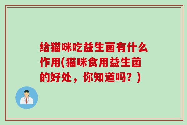 给猫咪吃益生菌有什么作用(猫咪食用益生菌的好处，你知道吗？)