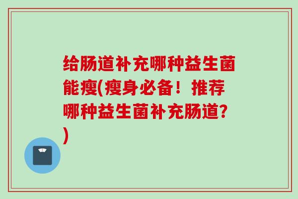 给肠道补充哪种益生菌能瘦(瘦身必备！推荐哪种益生菌补充肠道？)