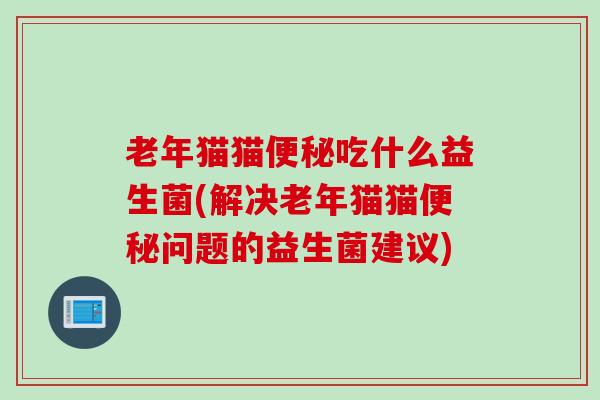 老年猫猫吃什么益生菌(解决老年猫猫问题的益生菌建议)