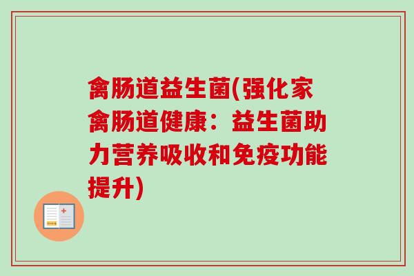 禽肠道益生菌(强化家禽肠道健康：益生菌助力营养吸收和功能提升)