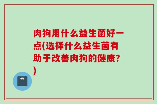 肉狗用什么益生菌好一点(选择什么益生菌有助于改善肉狗的健康？)