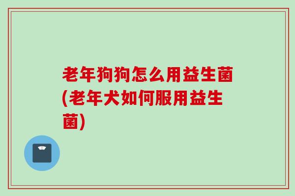 老年狗狗怎么用益生菌(老年犬如何服用益生菌) 老年狗狗怎么用益生菌(老年犬如何服用益生菌)