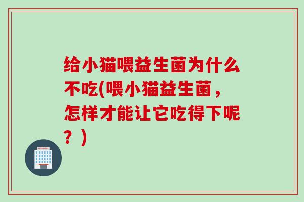 给小猫喂益生菌为什么不吃(喂小猫益生菌,怎样才能让它吃得下呢?) 给小猫喂益生菌为什么不吃(喂小猫益生菌,怎样才能让它吃得下呢?)