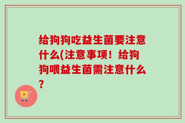 给狗狗吃益生菌要注意什么(注意事项！给狗狗喂益生菌需注意什么？