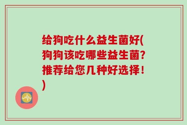 给狗吃什么益生菌好(狗狗该吃哪些益生菌?推荐给您几种好选择!) 给狗吃什么益生菌好(狗狗该吃哪些益生菌?推荐给您几种好选择!)