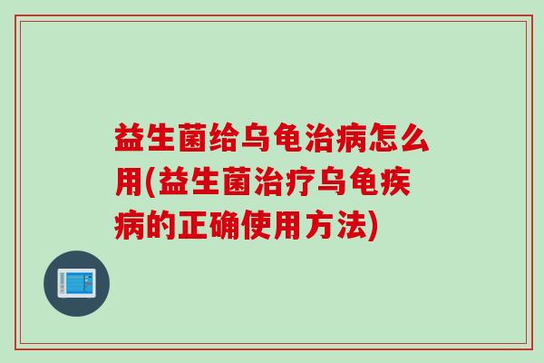 益生菌给乌龟怎么用(益生菌乌龟的正确使用方法)