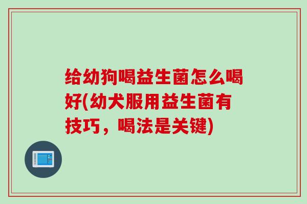 给幼狗喝益生菌怎么喝好(幼犬服用益生菌有技巧，喝法是关键)