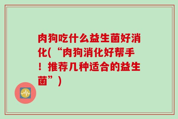 肉狗吃什么益生菌好消化(“肉狗消化好帮手！推荐几种适合的益生菌”)