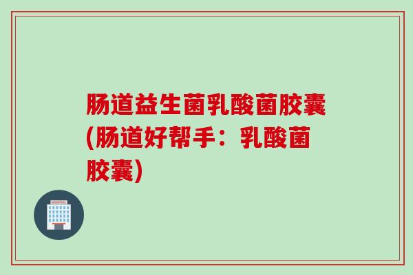 肠道益生菌乳酸菌胶囊(肠道好帮手：乳酸菌胶囊)
