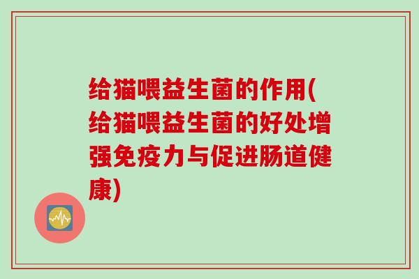 给猫喂益生菌的作用(给猫喂益生菌的好处增强力与促进肠道健康) 给猫喂益生菌的作用(给猫喂益生菌的好处增强力与促进肠道健康)