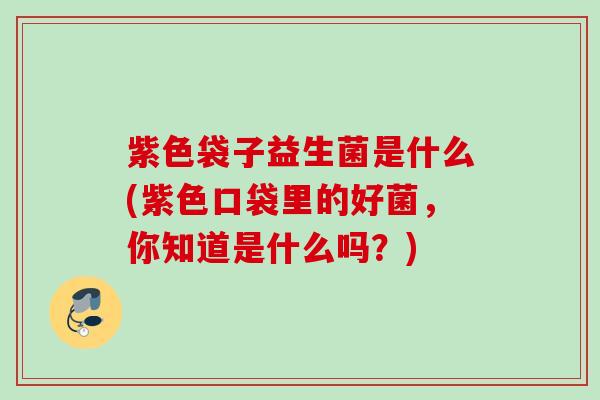 紫色袋子益生菌是什么(紫色口袋里的好菌，你知道是什么吗？)