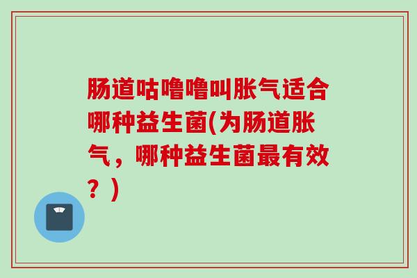 肠道咕噜噜叫适合哪种益生菌(为肠道,哪种益生菌有效?) 肠道咕噜噜叫适合哪种益生菌(为肠道,哪种益生菌有效?)
