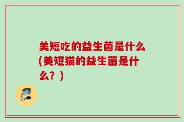 美短吃的益生菌是什么(美短猫的益生菌是什么？)