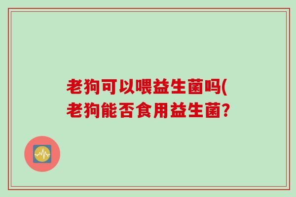老狗可以喂益生菌吗(老狗能否食用益生菌? 老狗可以喂益生菌吗(老狗能否食用益生菌?