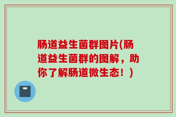 肠道益生菌群图片(肠道益生菌群的图解,助你了解肠道微生态!) 肠道益生菌群图片(肠道益生菌群的图解,助你了解肠道微生态!)