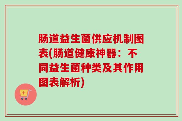 肠道益生菌供应机制图表(肠道健康神器：不同益生菌种类及其作用图表解析)