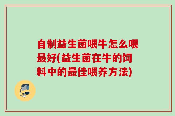 自制益生菌喂牛怎么喂好(益生菌在牛的饲料中的佳喂养方法)