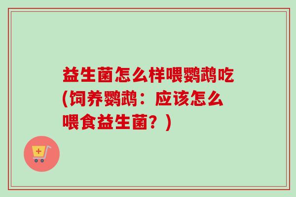益生菌怎么样喂鹦鹉吃(饲养鹦鹉:应该怎么喂食益生菌?) 益生菌怎么样喂鹦鹉吃(饲养鹦鹉:应该怎么喂食益生菌?)