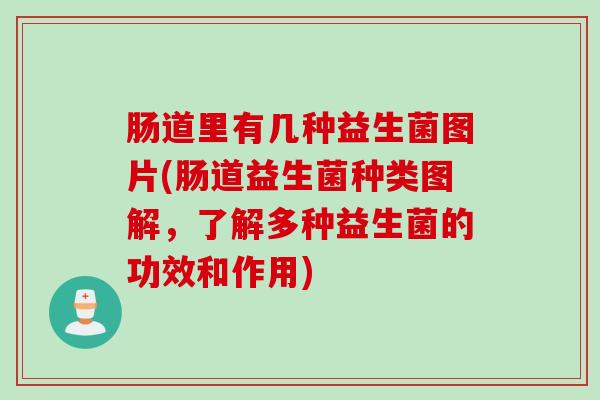 肠道里有几种益生菌图片(肠道益生菌种类图解,了解多种益生菌的功效和作用) 肠道里有几种益生菌图片(肠道益生菌种类图解,了解多种益生菌的功效和作用)