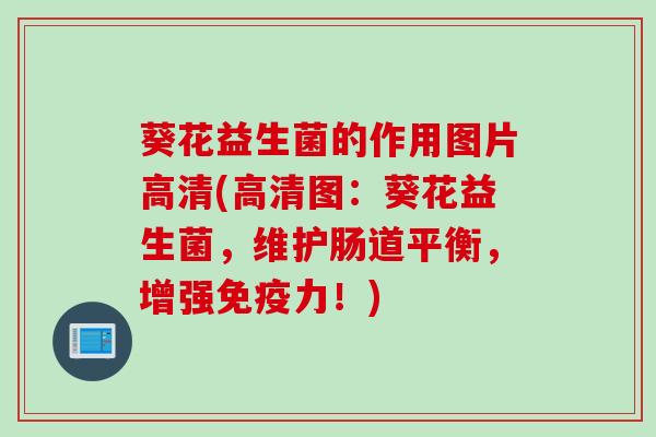 葵花益生菌的作用图片高清(高清图:葵花益生菌,维护肠道平衡,增强力!) 葵花益生菌的作用图片高清(高清图:葵花益生菌,维护肠道平衡,增强力!)