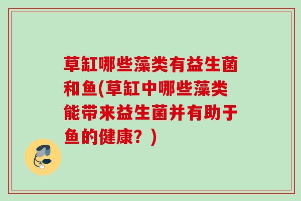草缸哪些藻类有益生菌和鱼(草缸中哪些藻类能带来益生菌并有助于鱼的健康?) 草缸哪些藻类有益生菌和鱼(草缸中哪些藻类能带来益生菌并有助于鱼的健康?)