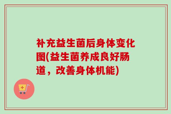 补充益生菌后身体变化图(益生菌养成良好肠道，改善身体机能)