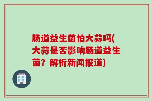 肠道益生菌怕大蒜吗(大蒜是否影响肠道益生菌？解析新闻报道)