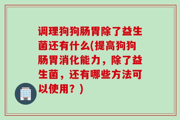 调理狗狗肠胃除了益生菌还有什么(提高狗狗肠胃消化能力，除了益生菌，还有哪些方法可以使用？)