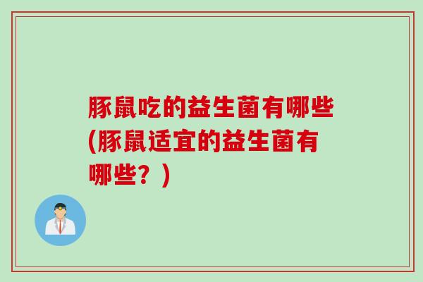 豚鼠吃的益生菌有哪些(豚鼠适宜的益生菌有哪些？)