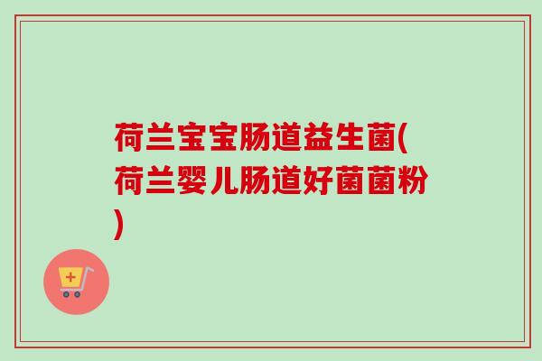 荷兰宝宝肠道益生菌(荷兰婴儿肠道好菌菌粉)