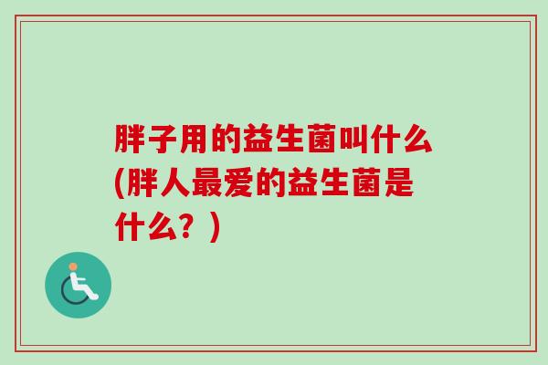 胖子用的益生菌叫什么(胖人爱的益生菌是什么？)