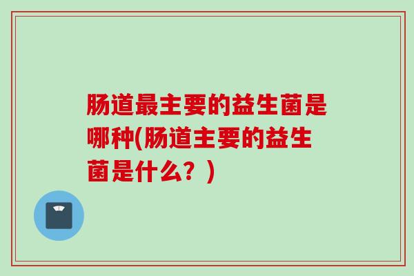 肠道主要的益生菌是哪种(肠道主要的益生菌是什么？)
