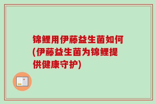 锦鲤用伊藤益生菌如何(伊藤益生菌为锦鲤提供健康守护) 锦鲤用伊藤益生菌如何(伊藤益生菌为锦鲤提供健康守护)