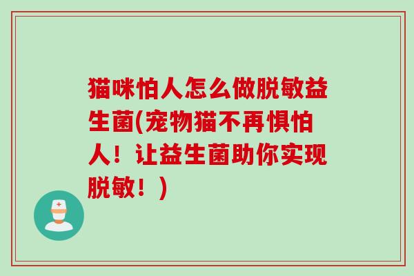 猫咪怕人怎么做脱敏益生菌(宠物猫不再惧怕人！让益生菌助你实现脱敏！)
