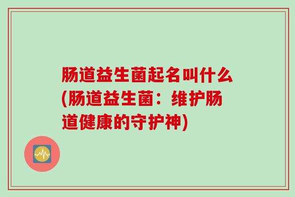 肠道益生菌起名叫什么(肠道益生菌：维护肠道健康的守护神)