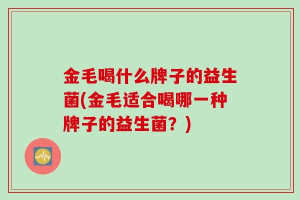 金毛喝什么牌子的益生菌(金毛适合喝哪一种牌子的益生菌?) 金毛喝什么牌子的益生菌(金毛适合喝哪一种牌子的益生菌?)