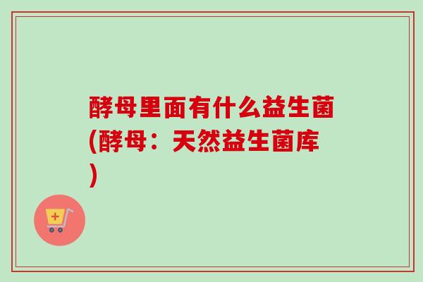 酵母里面有什么益生菌(酵母：天然益生菌库)