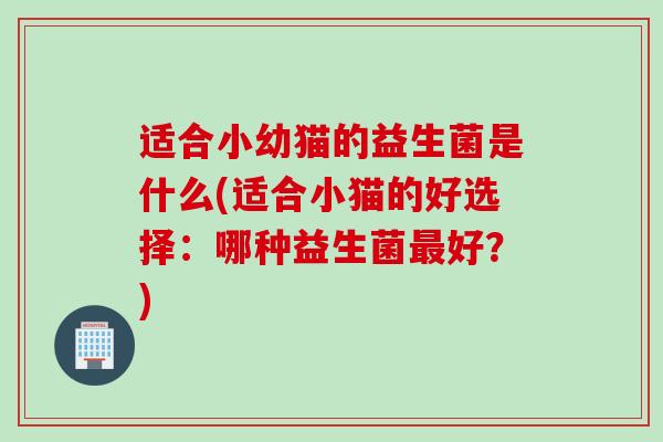 适合小幼猫的益生菌是什么(适合小猫的好选择:哪种益生菌好?) 适合小幼猫的益生菌是什么(适合小猫的好选择:哪种益生菌好?)